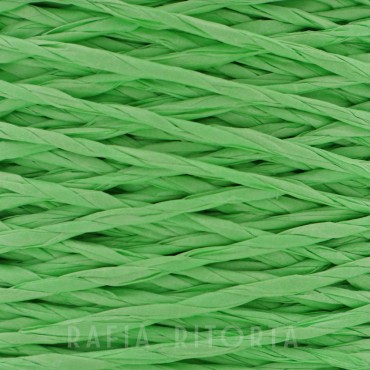 Twisted Raffia Green grams 250