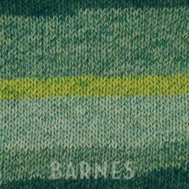 Barnes Green Gr 50